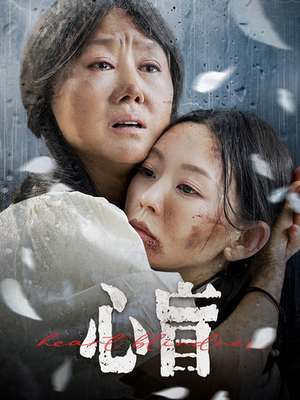 心盲（100集）实力派演员