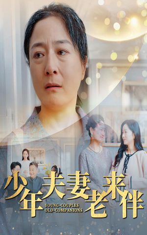 少年夫妻老来伴（34集）谍战短剧